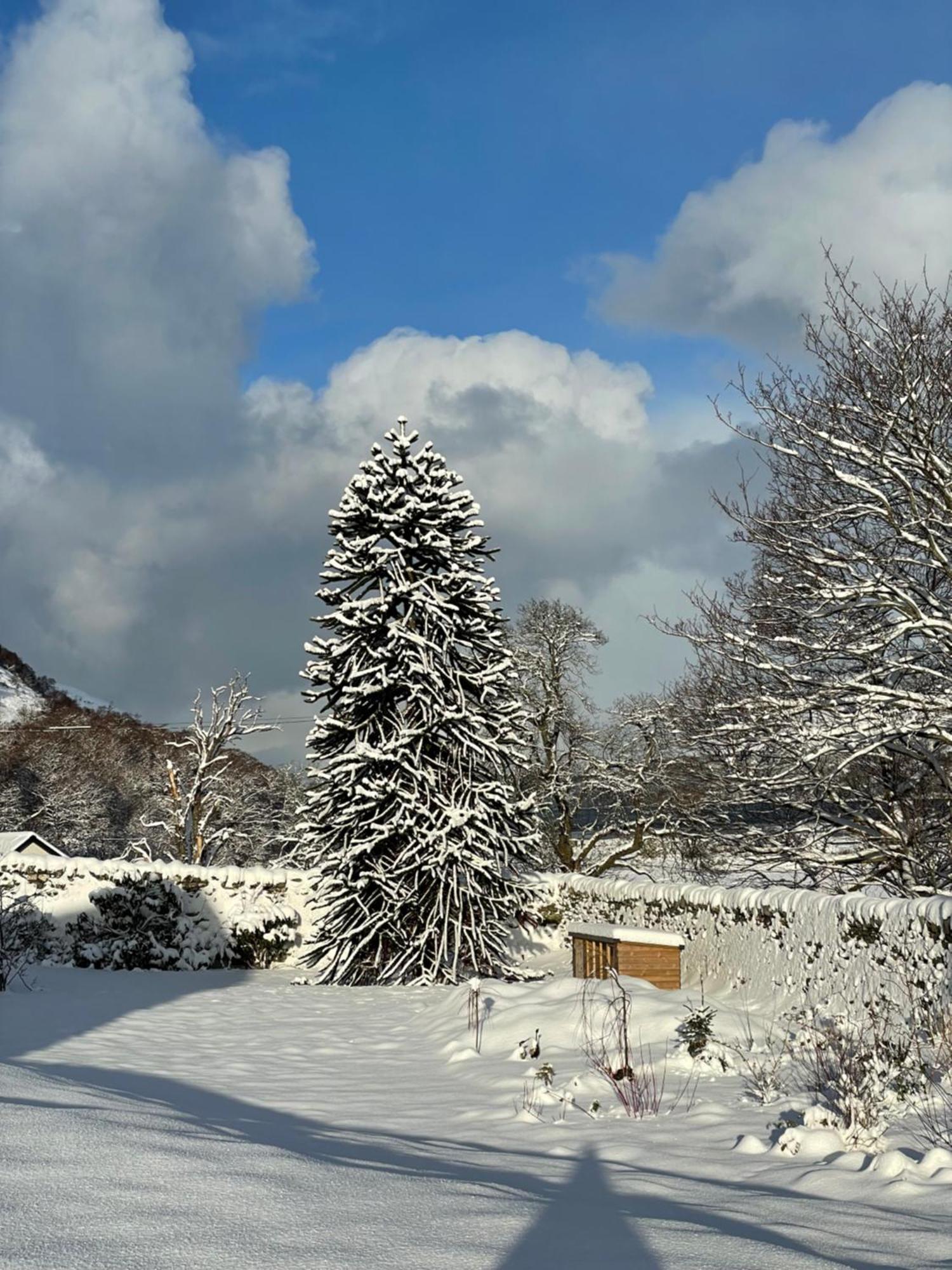 Clachan Garden B&B Garve Eksteriør bilde